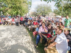 Prušánky, Vinobraní 2014