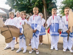 Prušánky, Vinobraní 2014