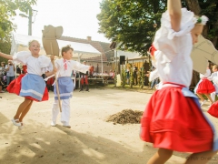 Prušánky, Vinobraní 2014