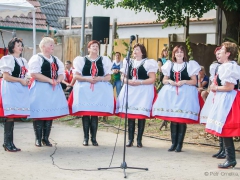Prušánky, Vinobraní 2014