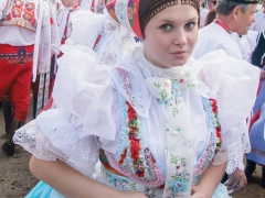 Prušánky, Vinobraní 2014