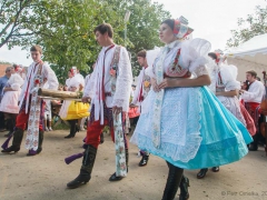 Prušánky, Vinobraní 2014