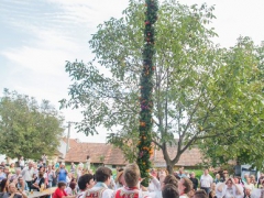 Prušánky, Vinobraní 2014