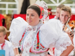 Prušánky, Vinobraní 2014