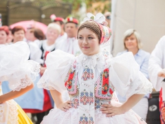 Prušánky, Vinobraní 2014