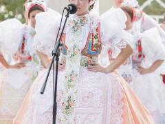 Prušánky, Vinobraní 2014