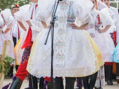 Prušánky, Vinobraní 2014