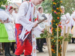 Prušánky, Vinobraní 2014