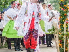 Prušánky, Vinobraní 2014