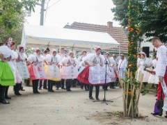 Prušánky, Vinobraní 2014