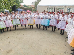 Prušánky, Vinobraní 2014