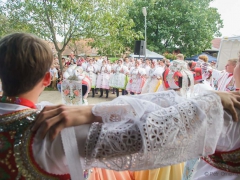 Prušánky, Vinobraní 2014