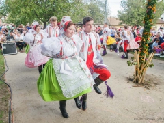 Prušánky, Vinobraní 2014