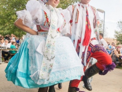 Prušánky, Vinobraní 2014