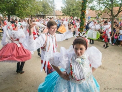 Prušánky, Vinobraní 2014