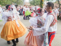 Prušánky, Vinobraní 2014