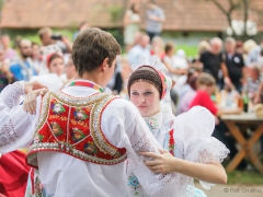 Prušánky, Vinobraní 2014