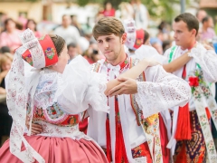 Prušánky, Vinobraní 2014