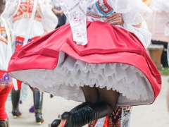 Prušánky, Vinobraní 2014