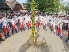 Prušánky, Vinobraní 2014