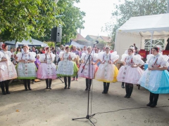 Prušánky, Vinobraní 2014
