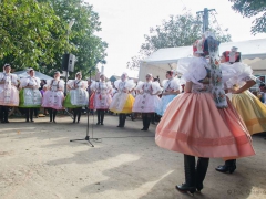 Prušánky, Vinobraní 2014