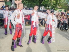 Prušánky, Vinobraní 2014
