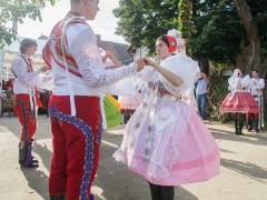 Prušánky, Vinobraní 2014