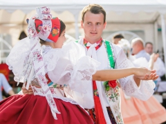 Prušánky, Vinobraní 2014