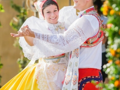 Prušánky, Vinobraní 2014