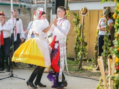 Prušánky, Vinobraní 2014