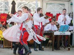 Prušánky, Vinobraní 2014