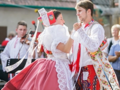 Prušánky, Vinobraní 2014