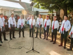 Prušánky, Vinobraní 2014