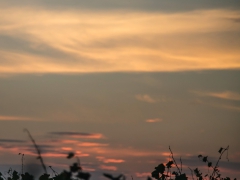 140906_zarazani_hory_47