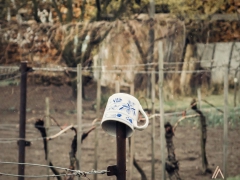 ztraty_0010
