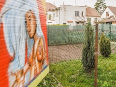 ztraty_0012