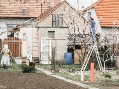 ztraty_0013