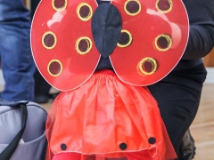 Dětský karneval Prušánky 2015