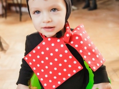 Dětský karneval Prušánky 2015