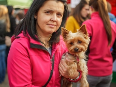 151031_gulasfest_010