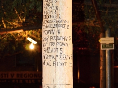Krojové hody (Milan Krásný)