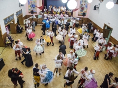 150117_krojovy_ples_005