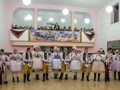 150117_krojovy_ples_009