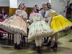 150117_krojovy_ples_010