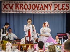 150117_krojovy_ples_017