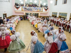 150117_krojovy_ples_032