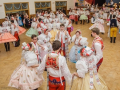 150117_krojovy_ples_035