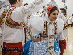 150117_krojovy_ples_038