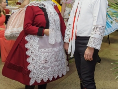 150117_krojovy_ples_049
